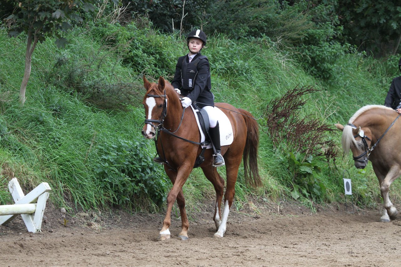 Bild 993 - WBO-Turnier am 18.9.11